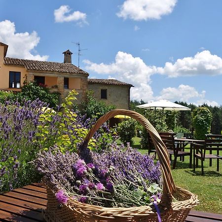 Agriturismo Monterosello Città di Castello Exteriér fotografie