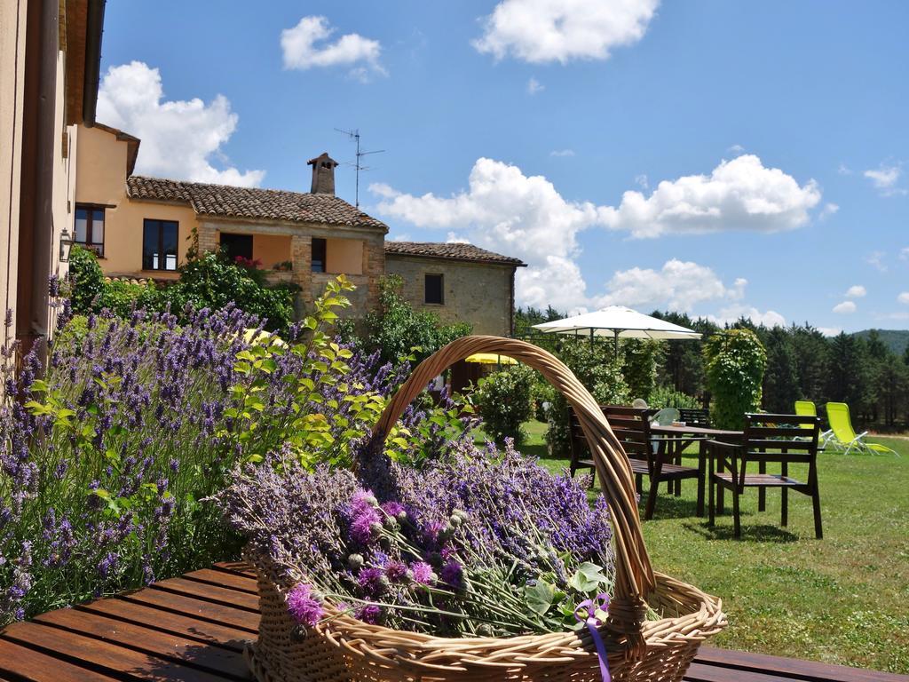 Agriturismo Monterosello Città di Castello Exteriér fotografie