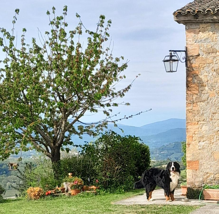 Agriturismo Monterosello Città di Castello Exteriér fotografie